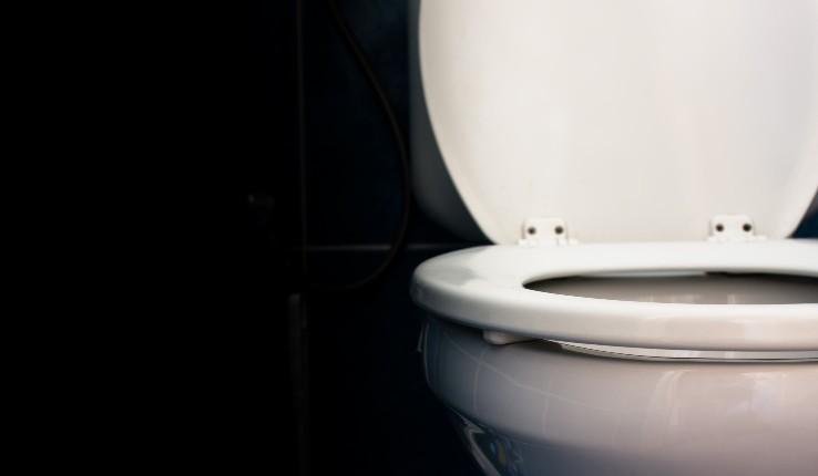 image of a toilet seat