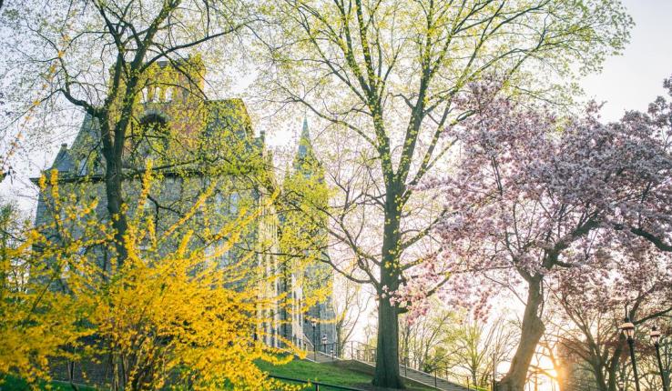 campus beauty 