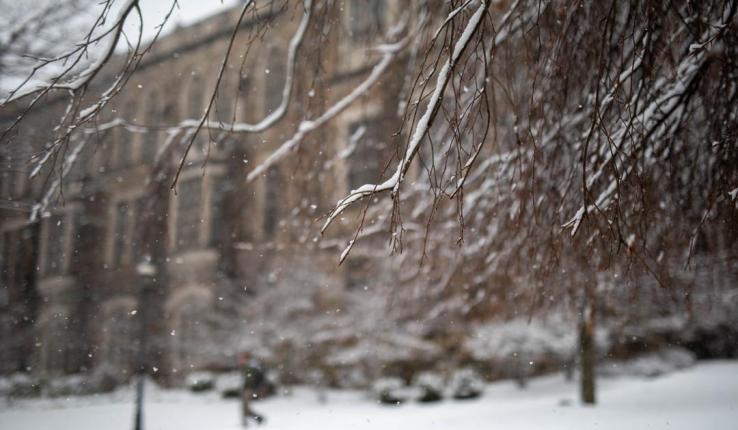 Snow falls over a historic building and bare branches in a winter scene.