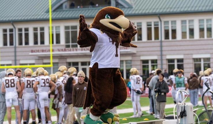 A brown bird mascot in a sports jersey dances on the sidelines at a football game.