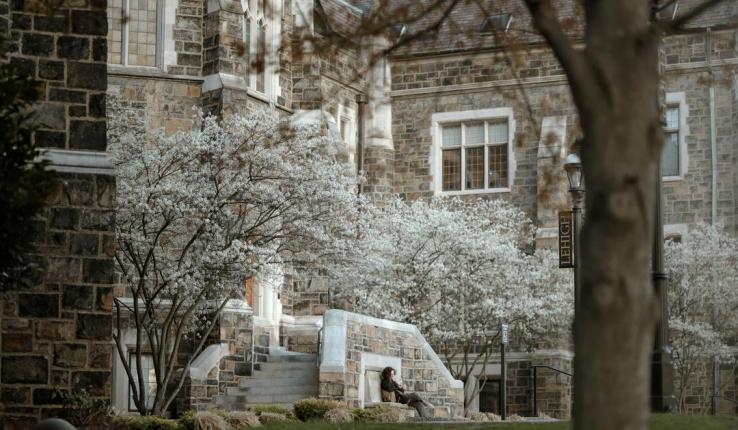 Old stone building surrounded by white blossoms, a person sits on outdoor steps.