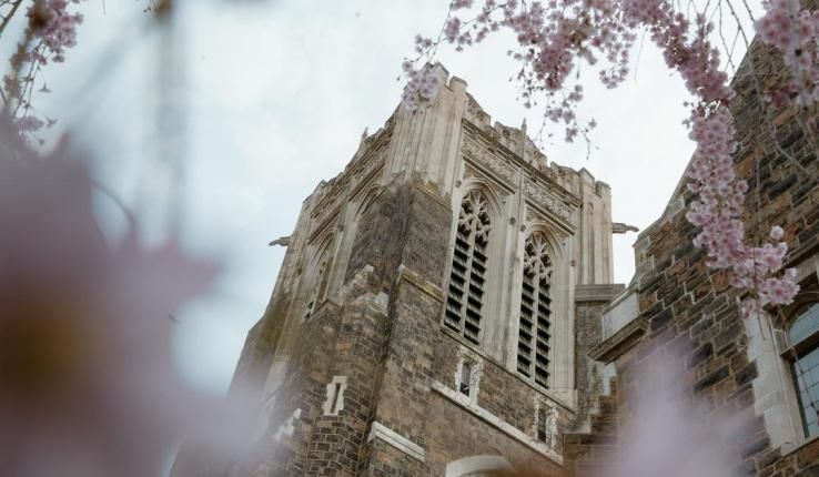 Historic stone tower with ornate windows, framed by pink cherry blossoms under a cloudy sky.