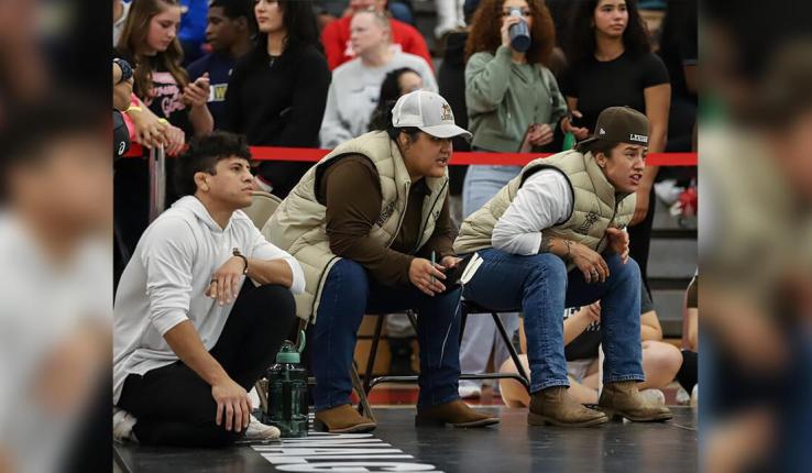 Spectators watching a game