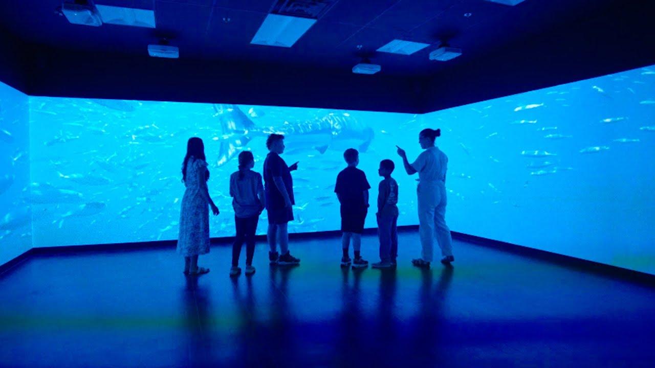 Immersive Learning Center Centennial School
